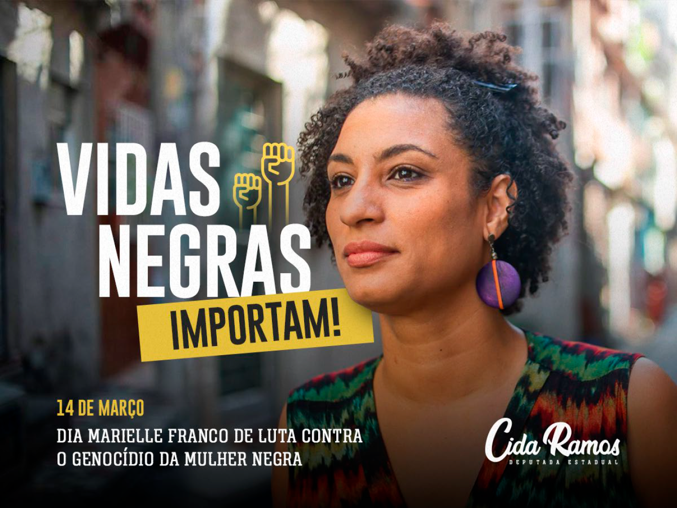 VIDAS NEGRAS IMPORTAM Cida Ramos